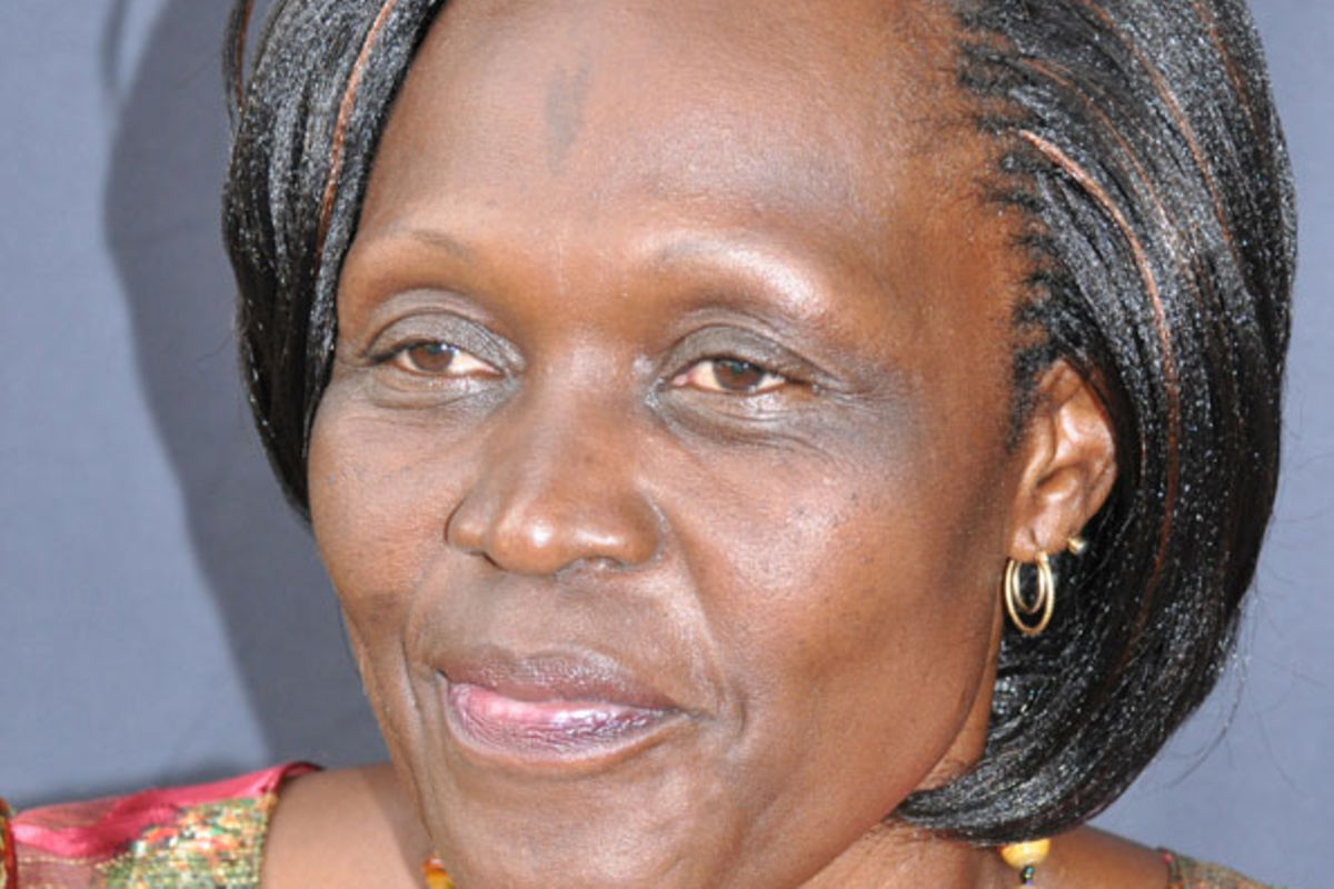 Beatrice Anywar drags government to court over nodding disease