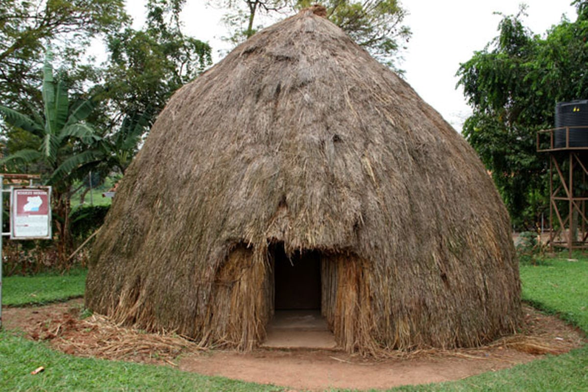 Straw huts keep shelter dogs warm, Local News