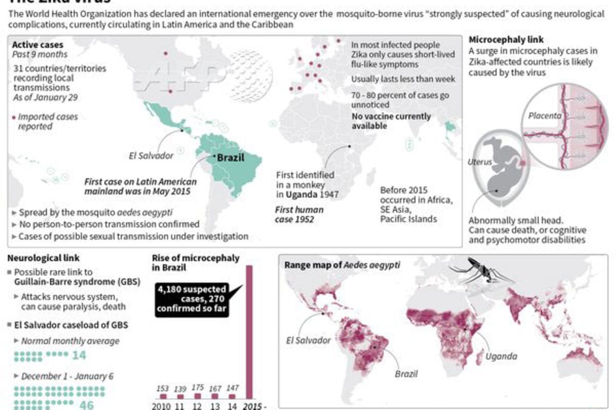 Honduras declares national emergency over Zika virus Monitor