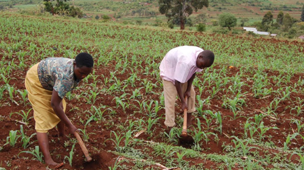 turning-agricultural-waste-into-biopolymers-duncan-clark