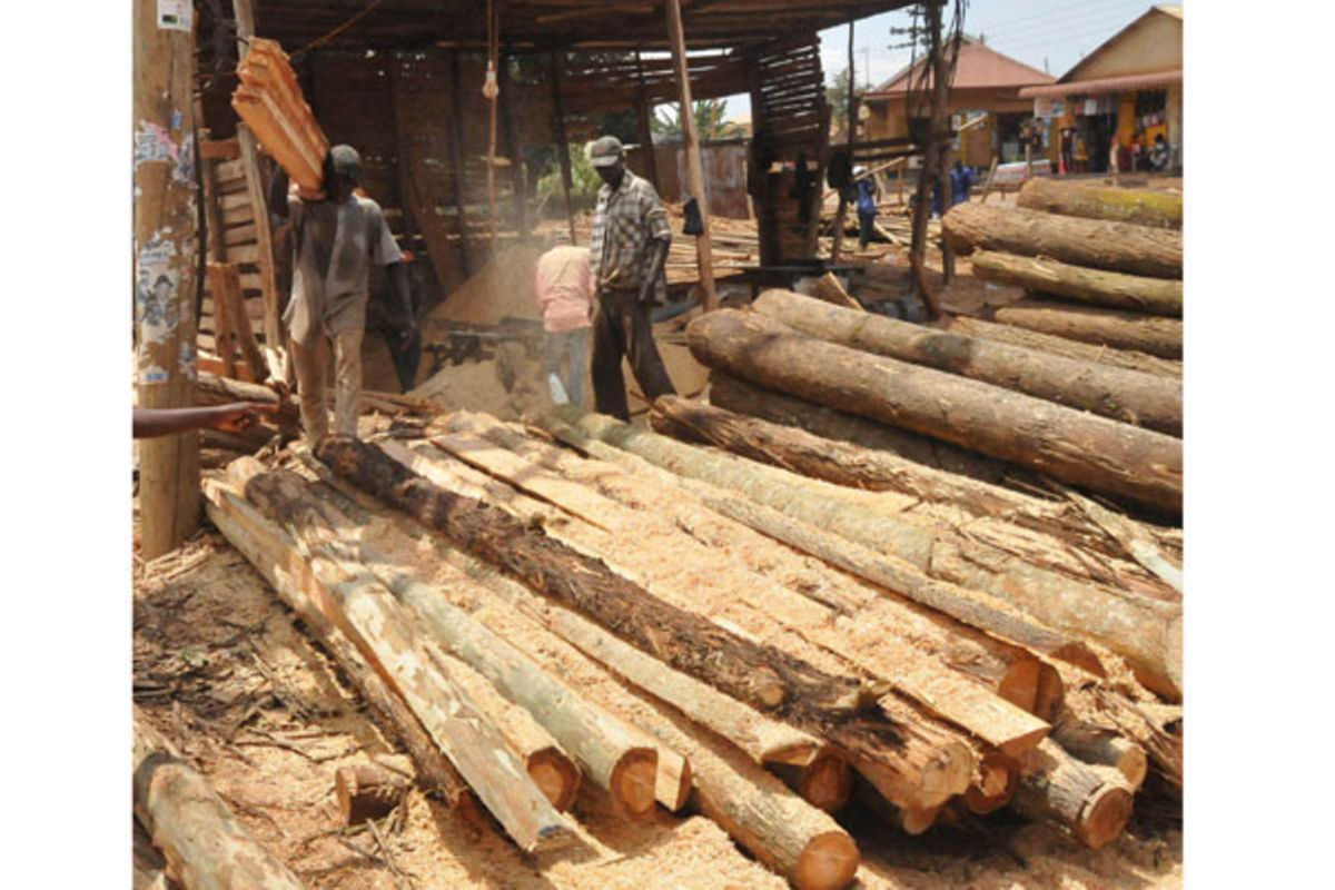 60% of Wakiso forests destroyed | Monitor