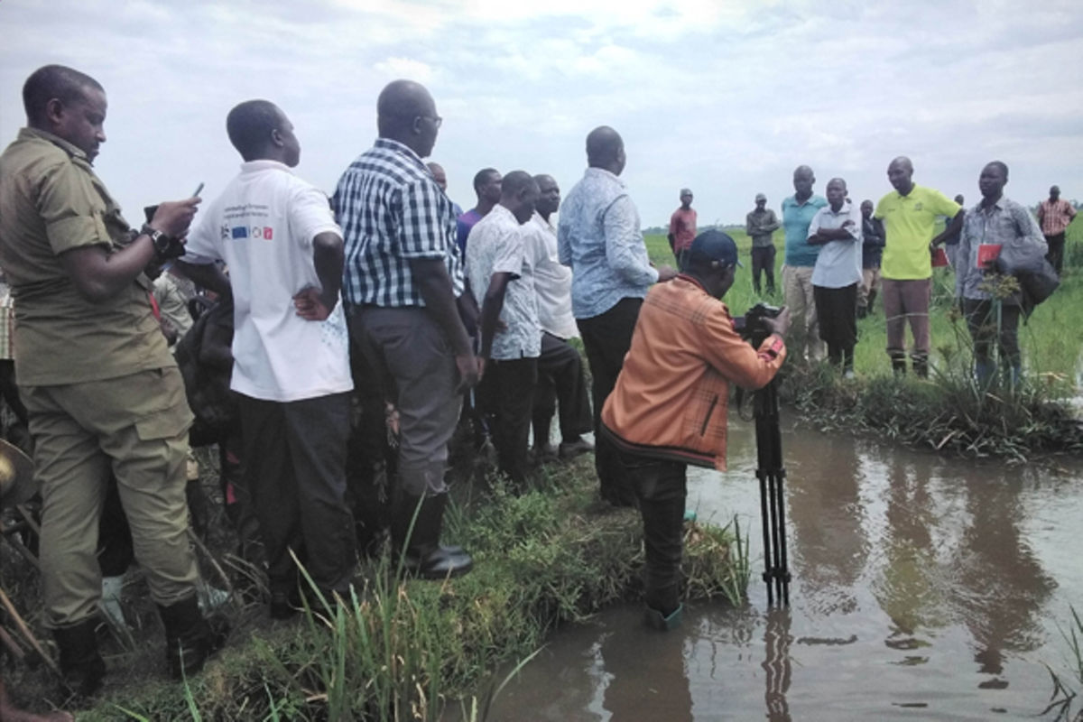 Tororo leaders order rival groups off disputed swamp | Monitor