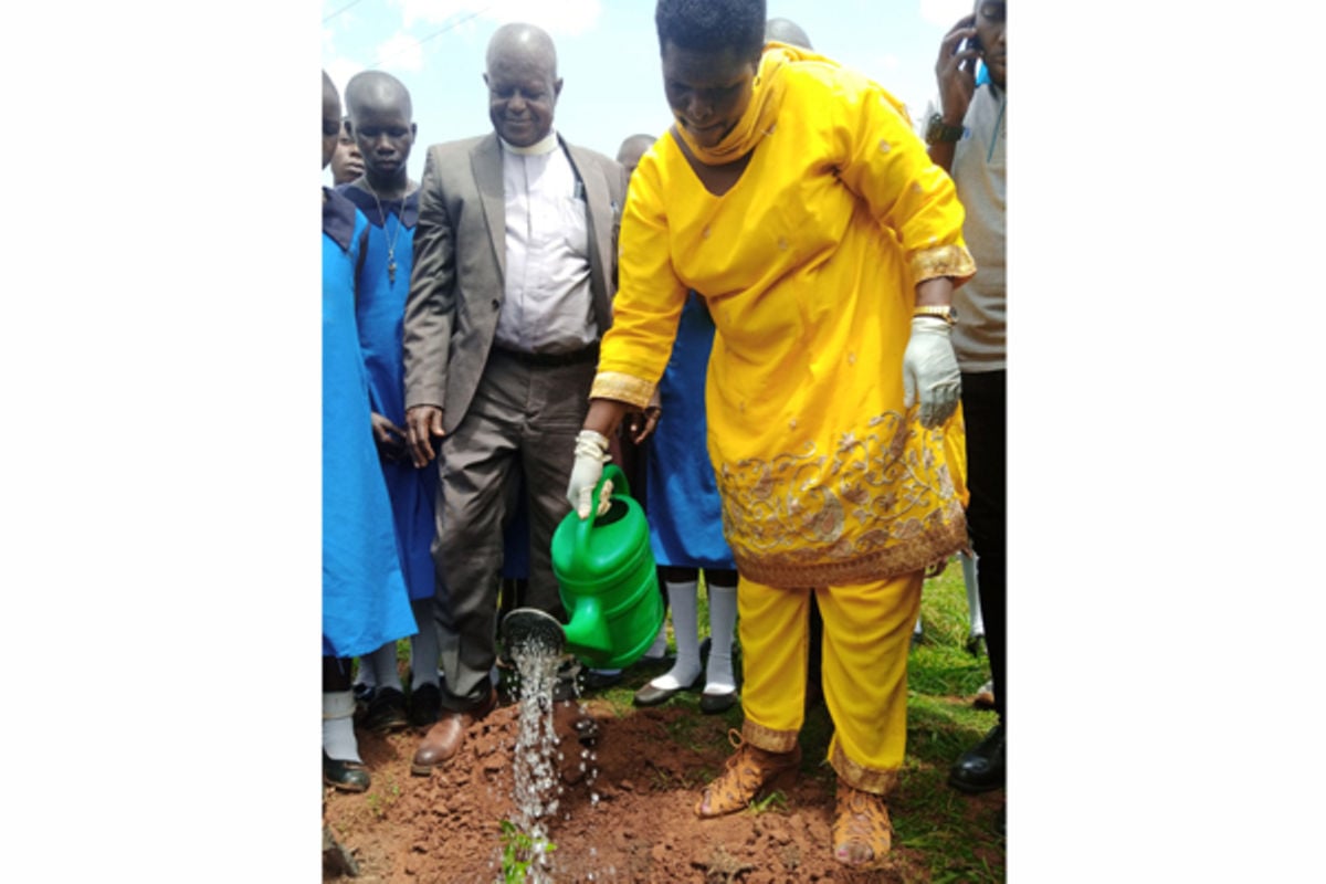 districts-embrace-tree-planting-drives-to-restore-degraded-forests