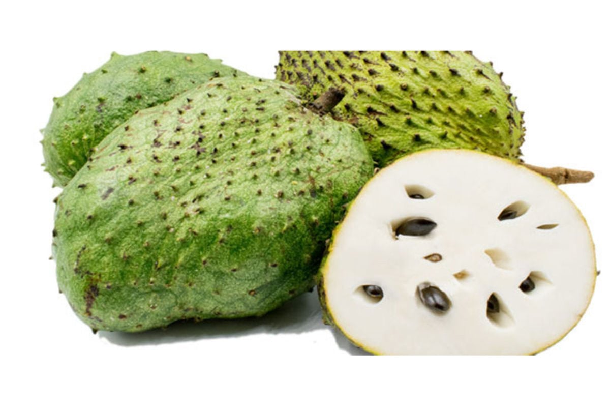 soursop-the-medicinal-fruit-monitor